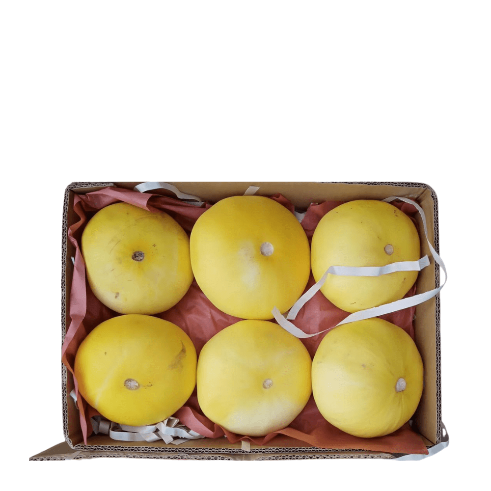 fresh melon fresh melon